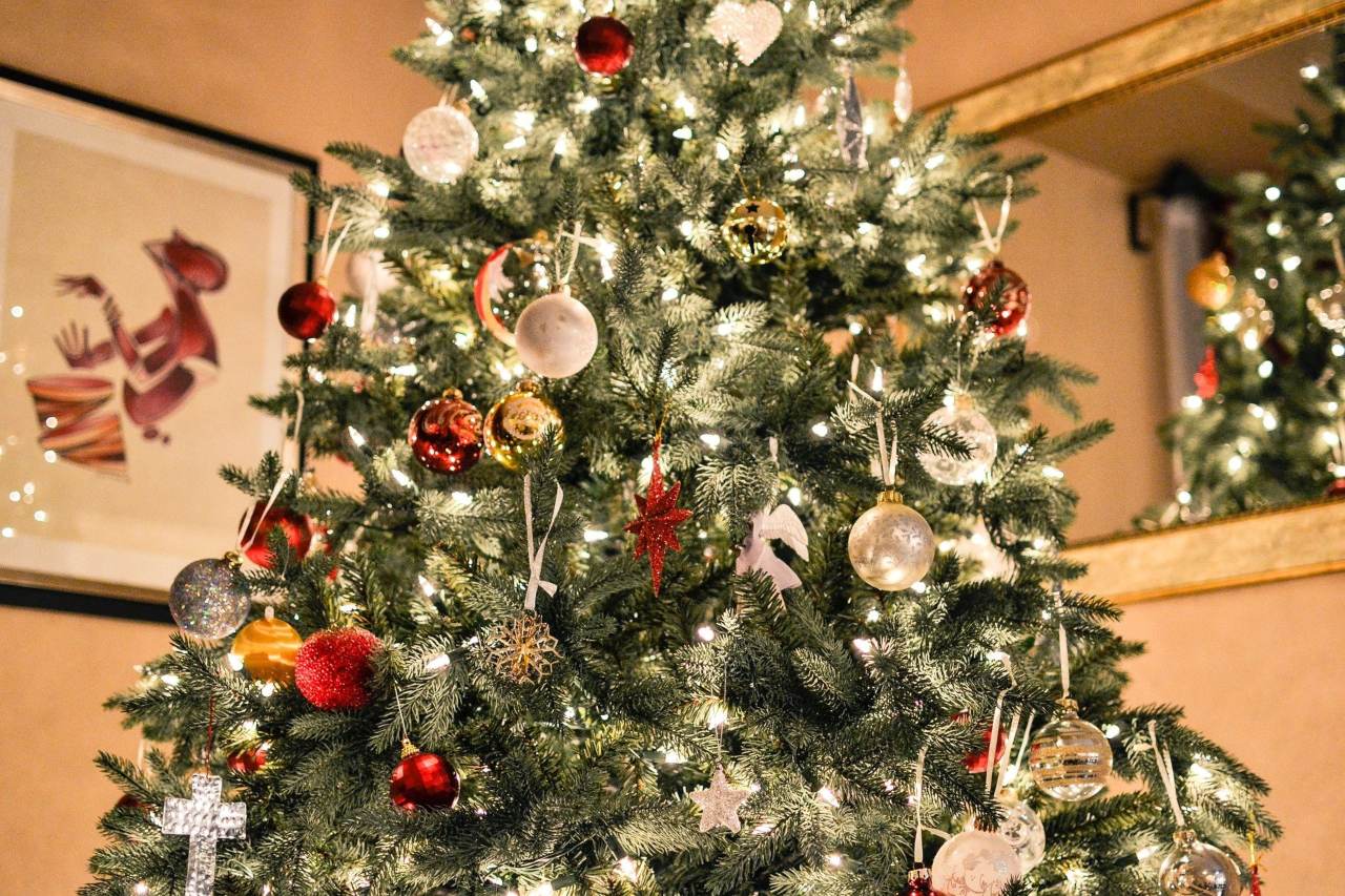 Natale: come scegliere l'albero giusto