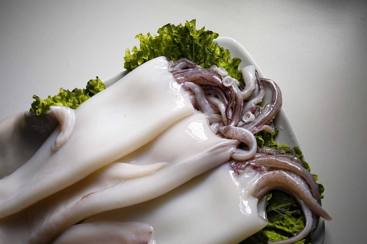 Calamaro ripieno ricetta alternativa
