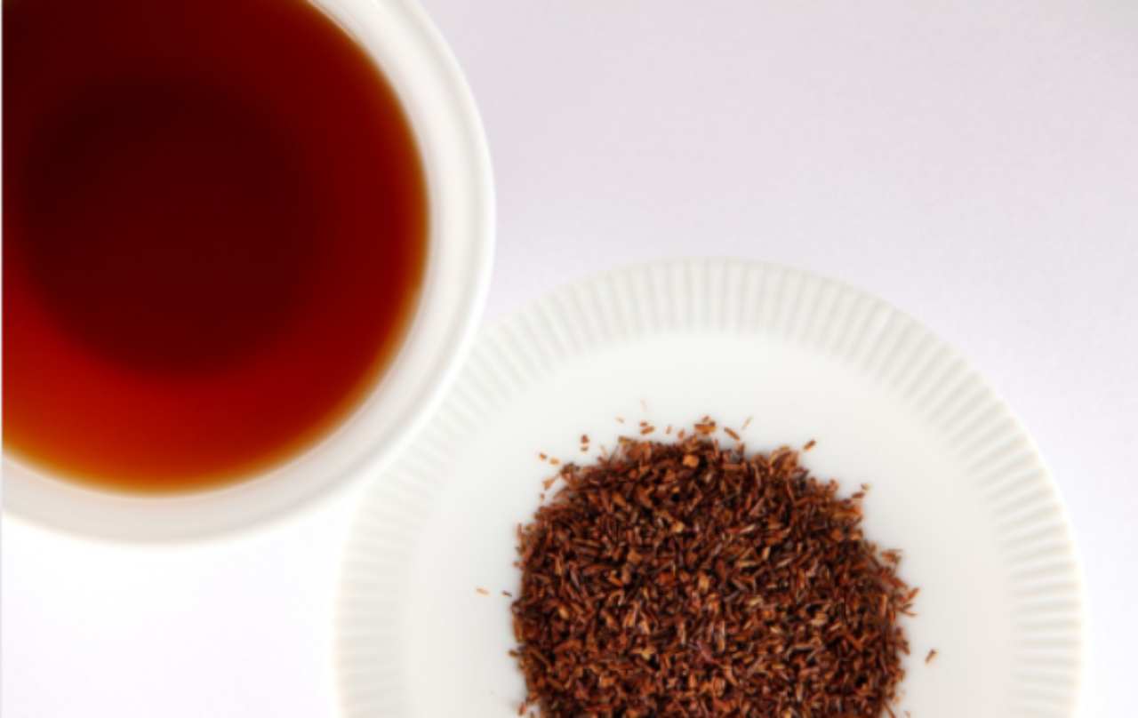 Rooibos, valido sostituto del tè in gravidanza