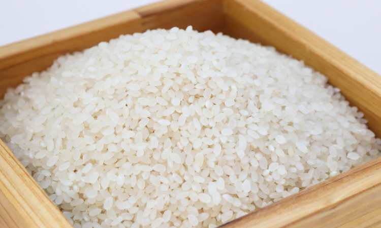 acqua di riso