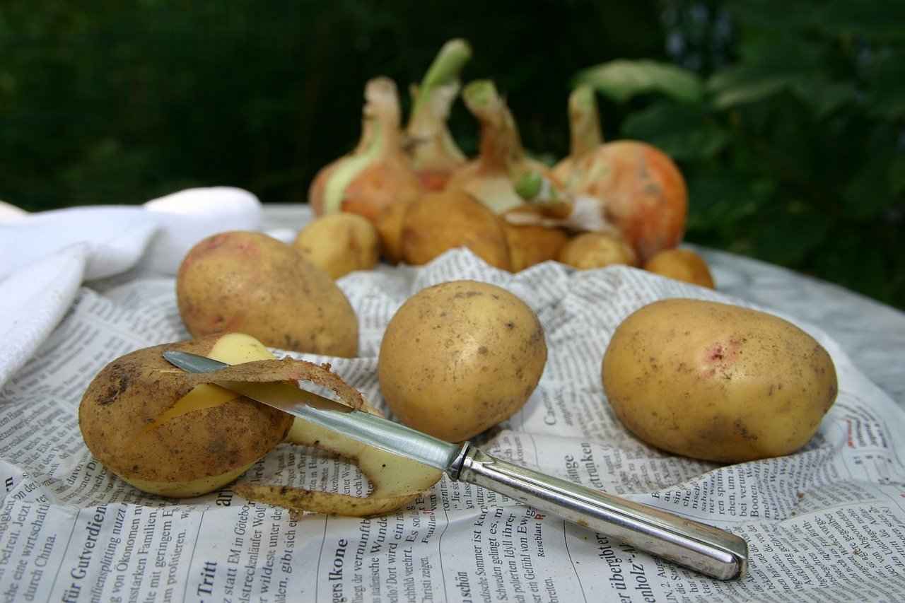 Buccia delle patate: 0 sprechi in cucina, non buttarle più via: saranno gustosissime preparate così!