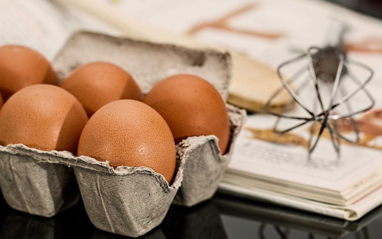 gusci delle uova