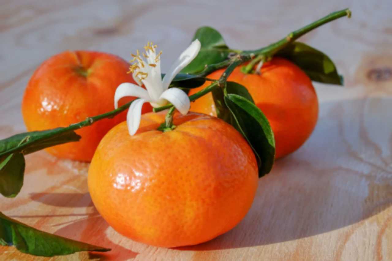 Gli incredibili usi del mandarino in campo beauty