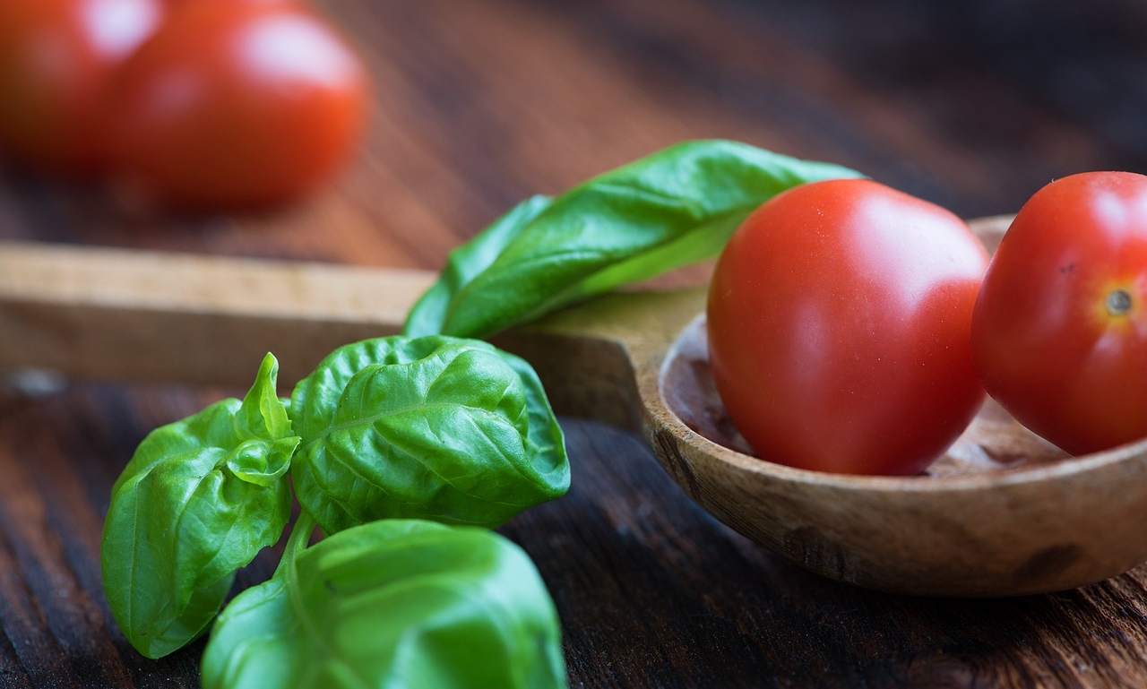 Frittelle di pomodoro