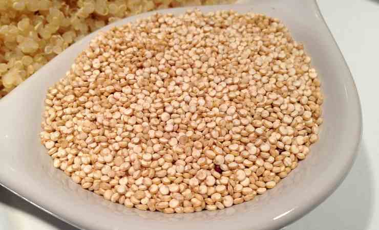 quinoa erba