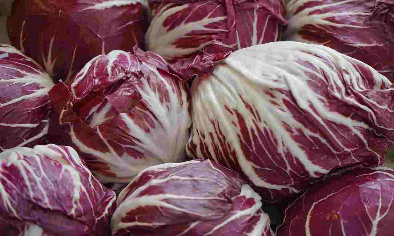 radicchio ricetta