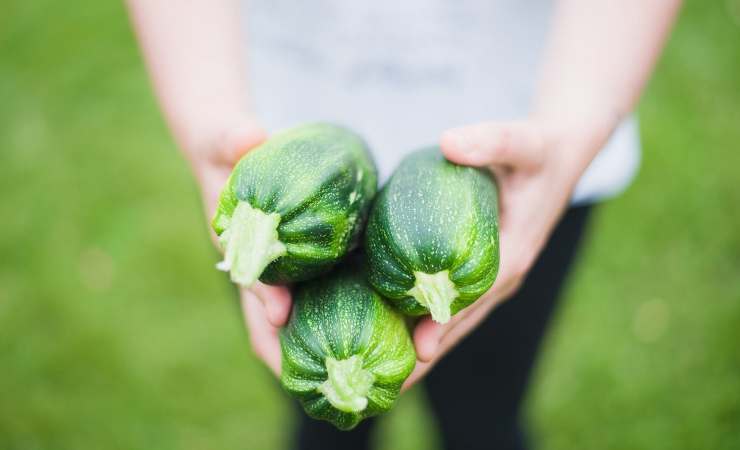 zucchine ricetta