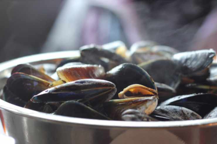 Zuppa cozze