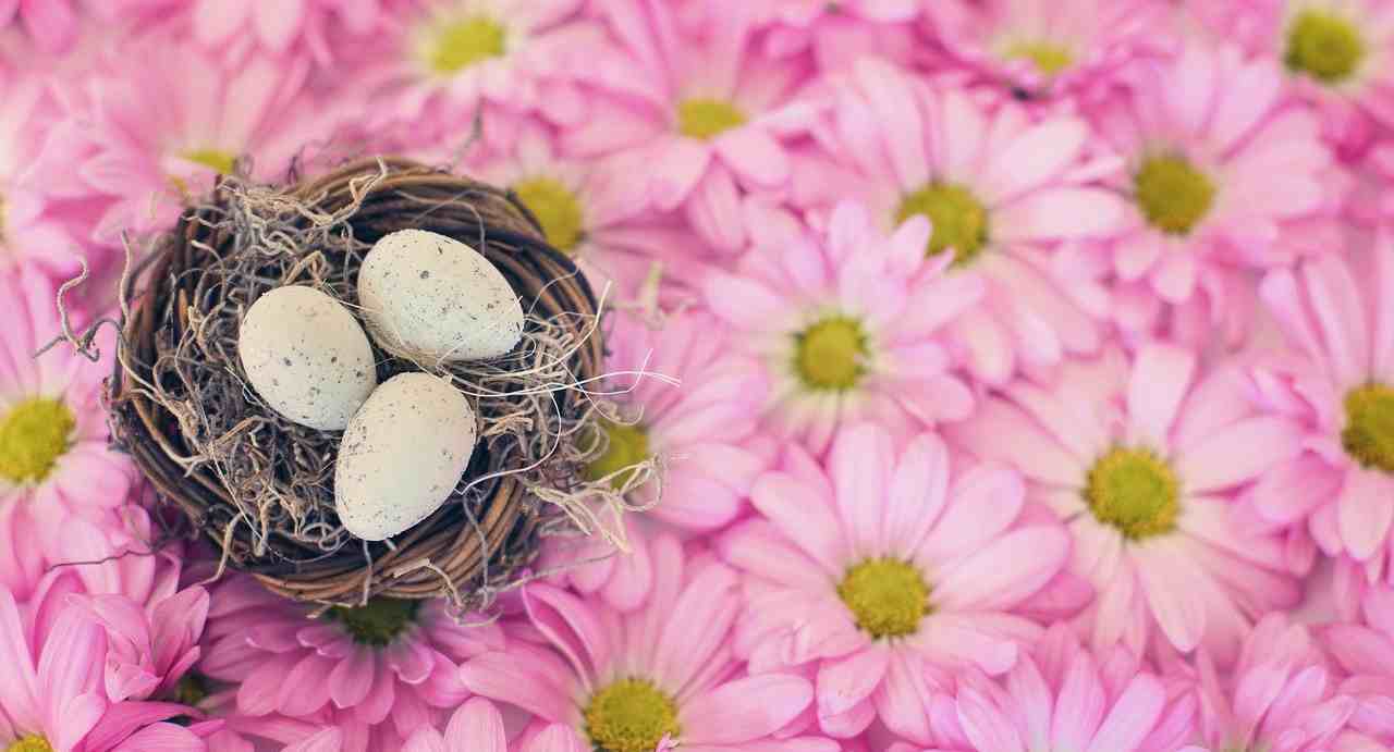 pasqua schiacciata ricetta