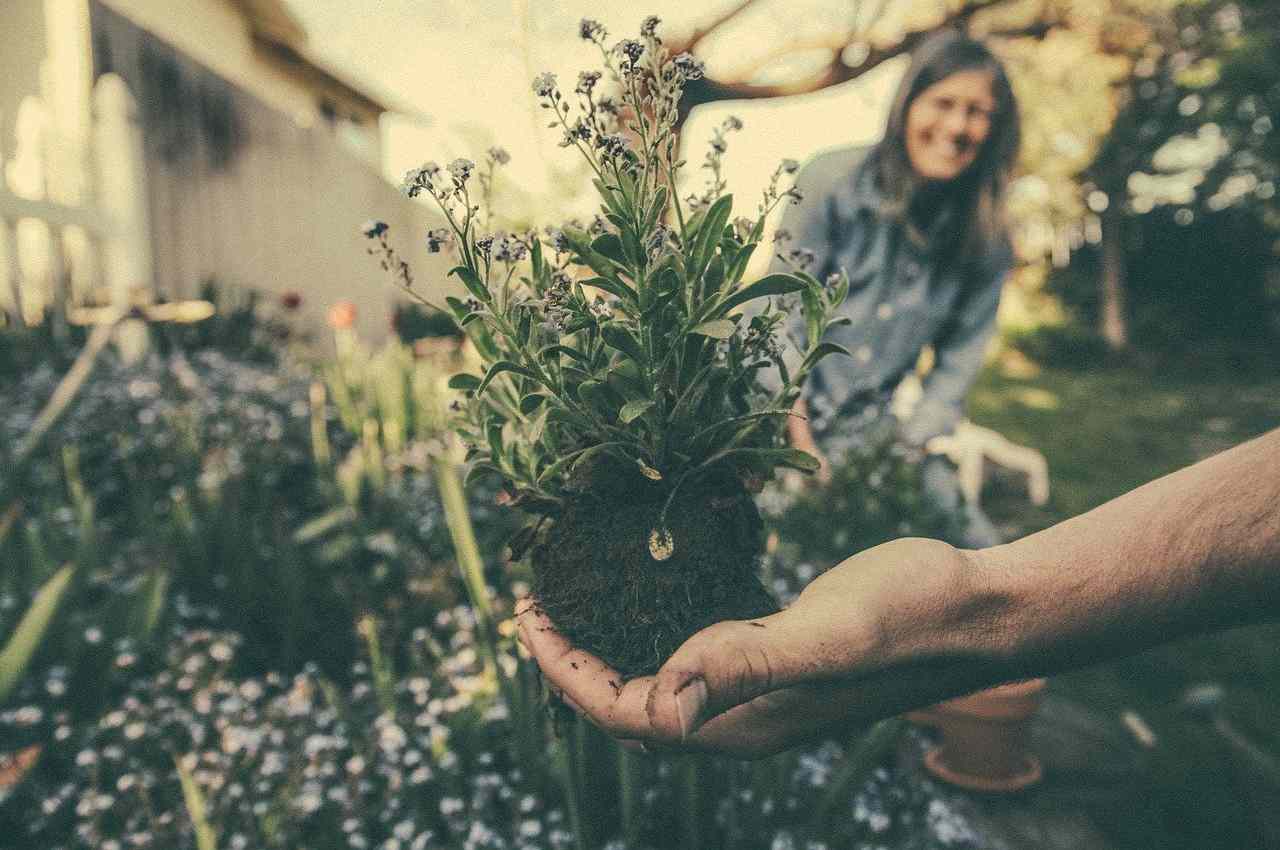 attività giardino marzo aprile