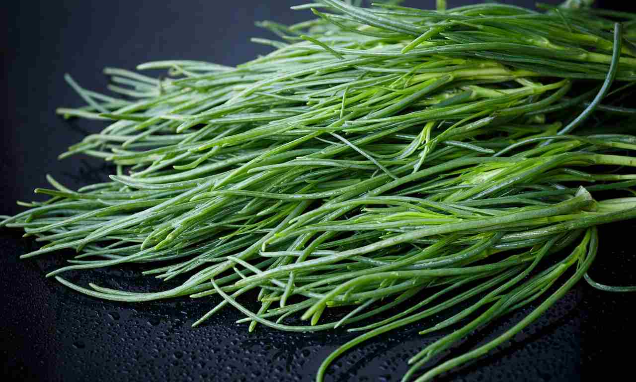 agretti benefici stagione