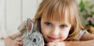 animali bambini film