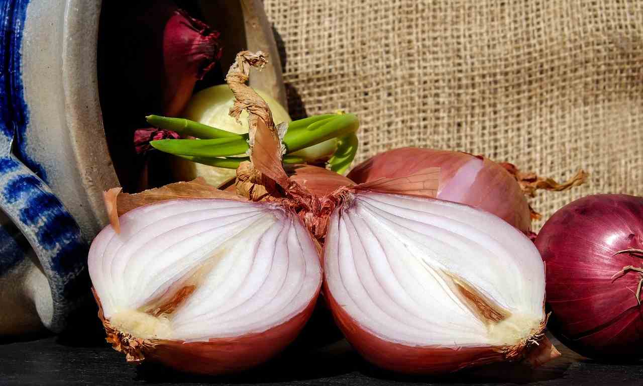 cipolle cena ricetta