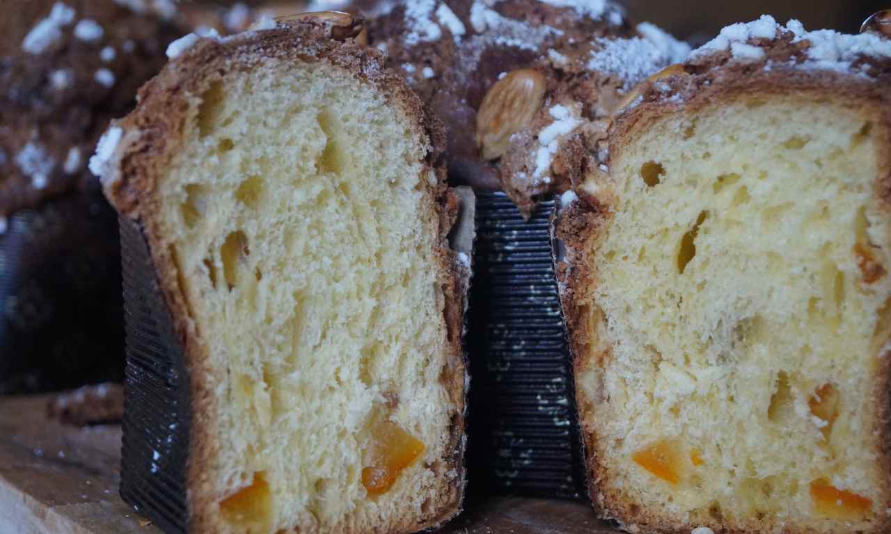 colomba avanzata ricetta