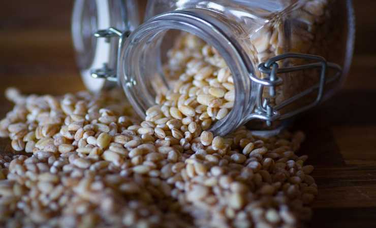 insalata di farro pranzo veloce