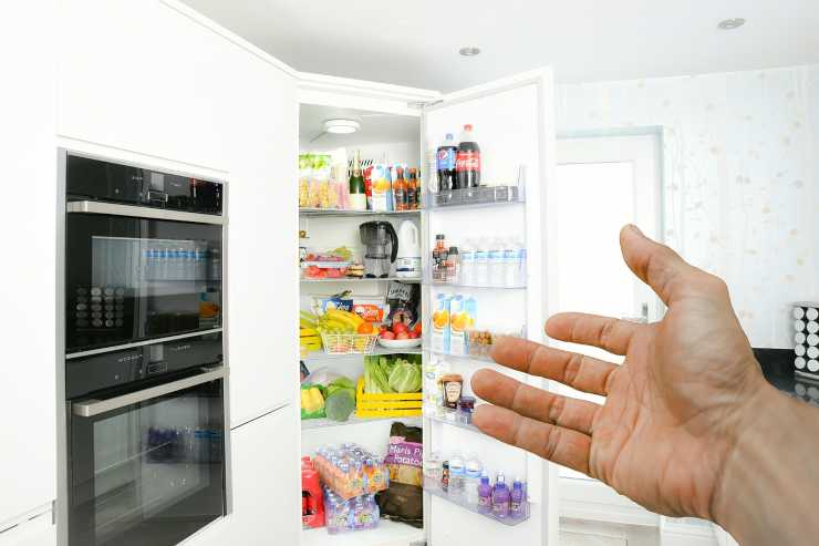 conservare i cibi in frigo 