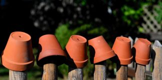 pulire vasi terracotta