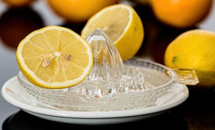 limoni seccano in frigo