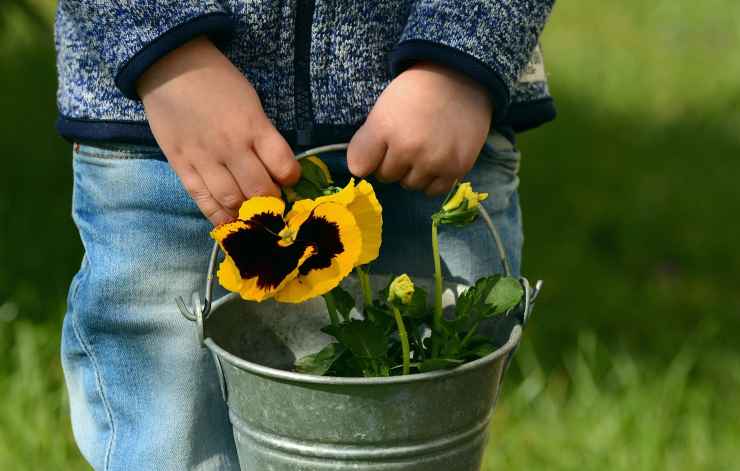 gioco bambini natura