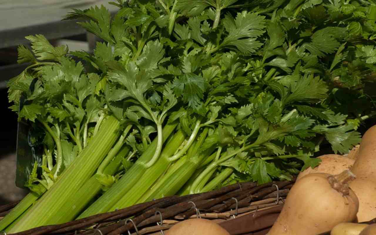 sedano e prezzemolo freschi