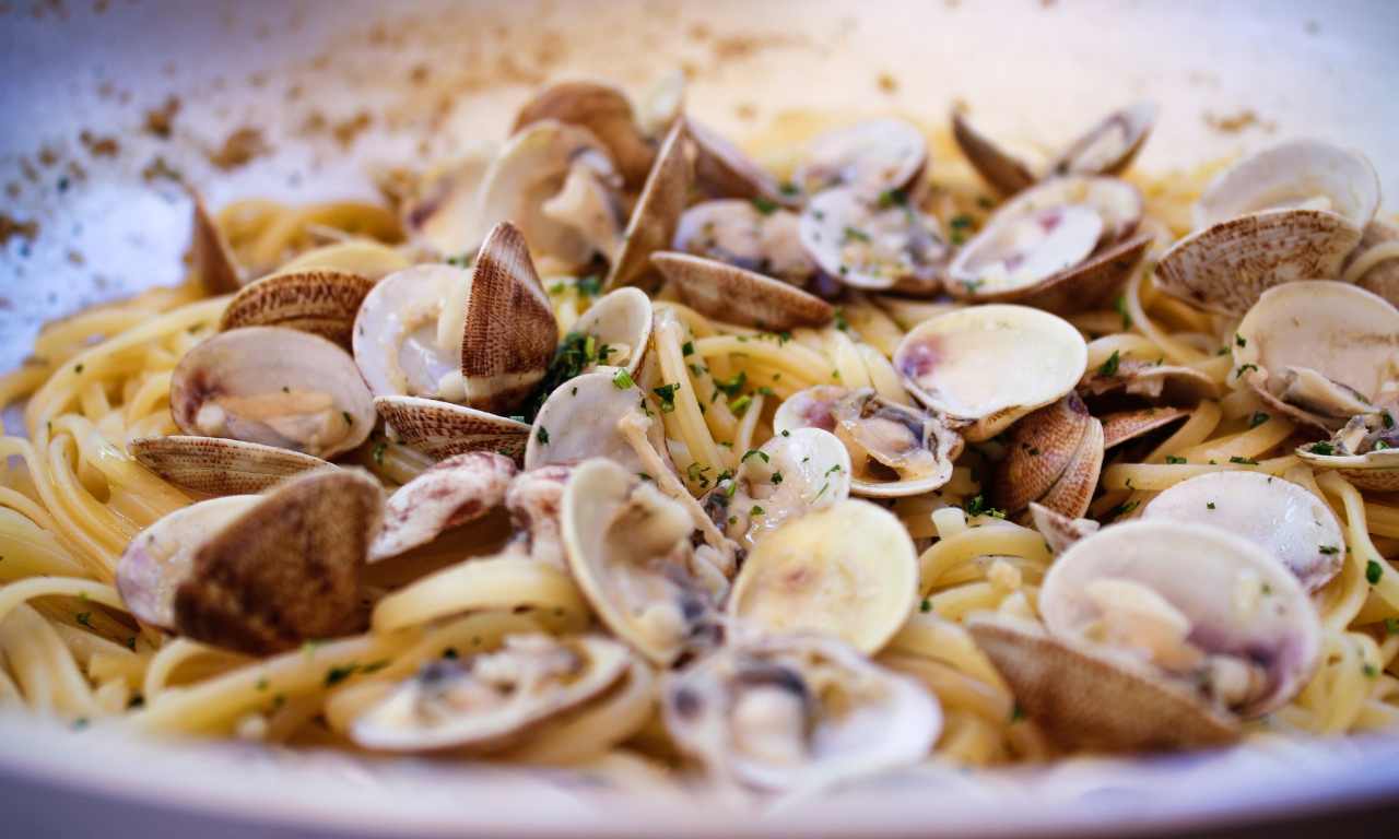 pasta vongole speciale