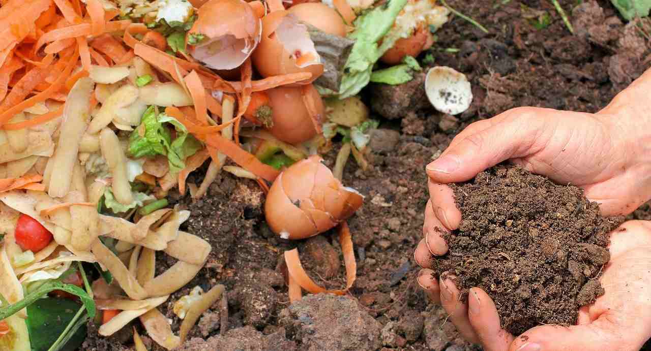 concime fertilizzante naturale