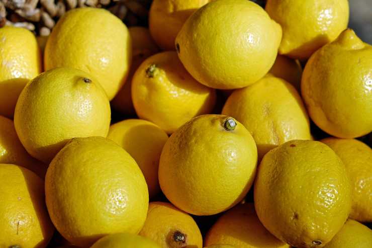 Limoni