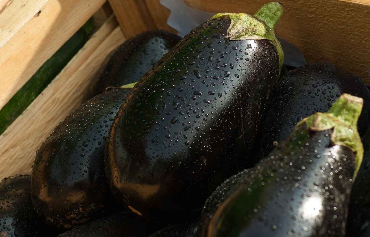 ricetta con le melanzane