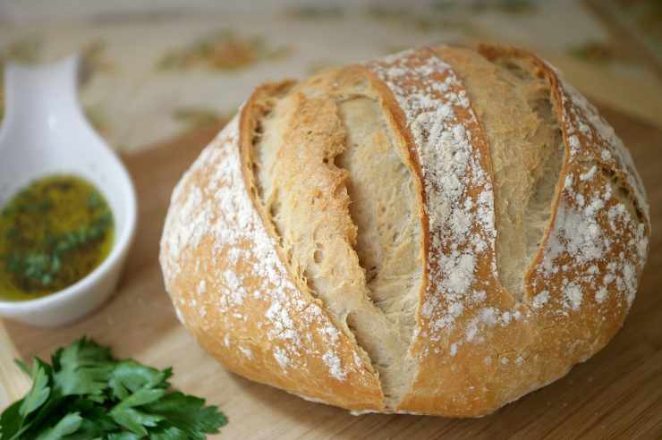 pane ricetta veloce