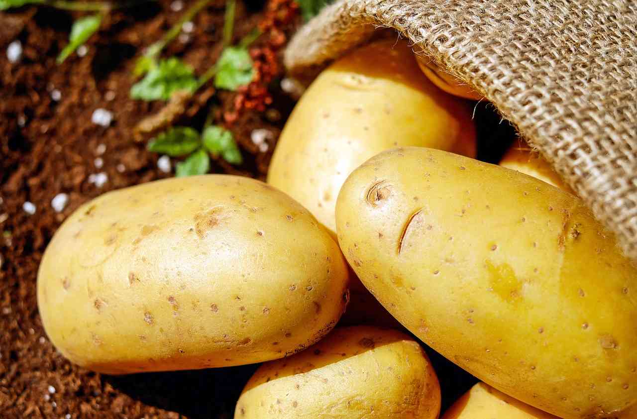 patate ricetta semplice