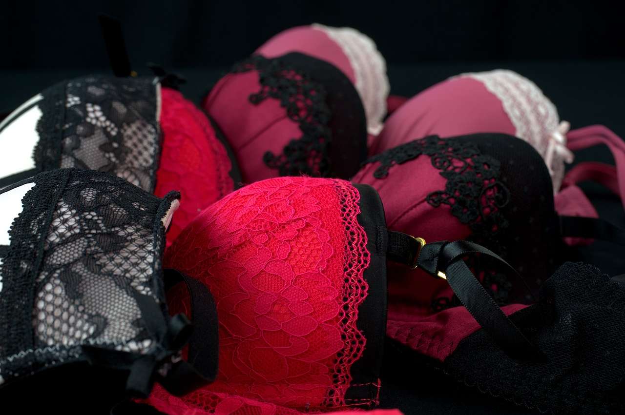 reggiseno