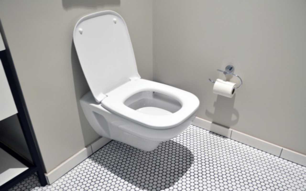 bordo dell wc