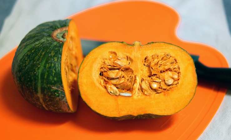 zucca