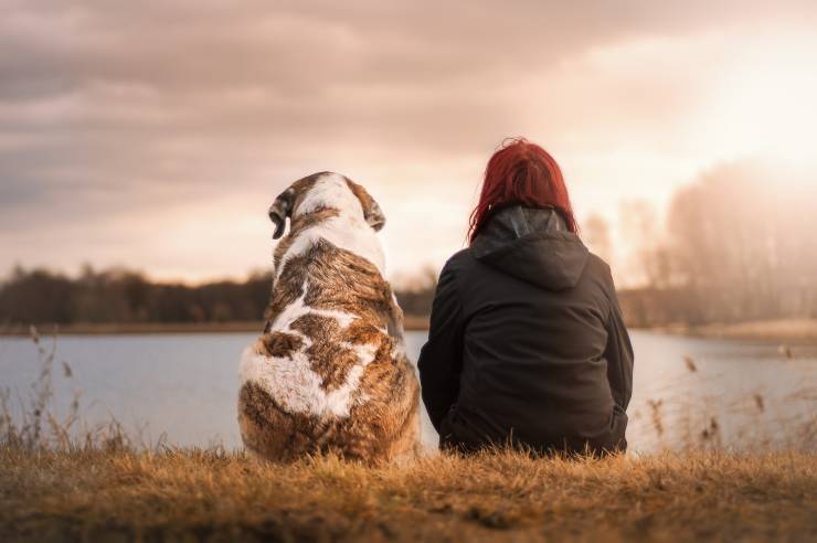 cane ti ama