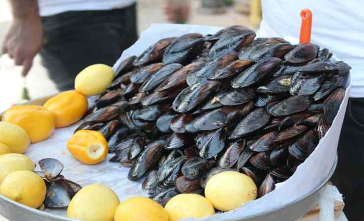 riconoscere cozze fresche