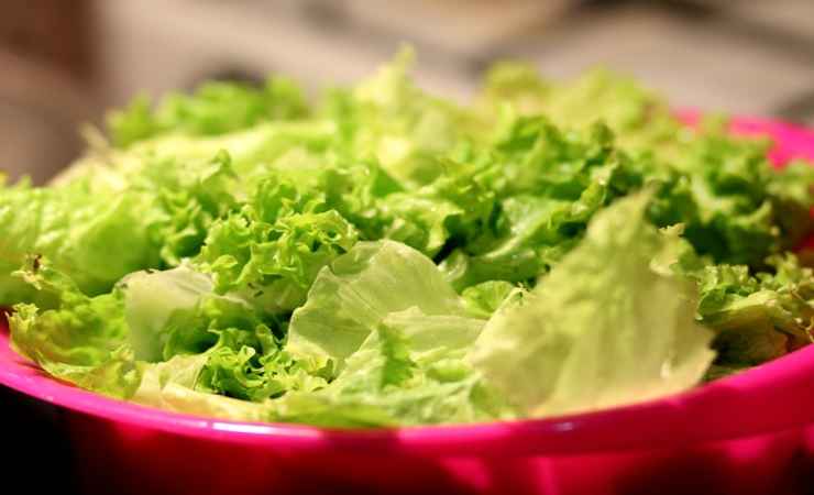come conservare insalata