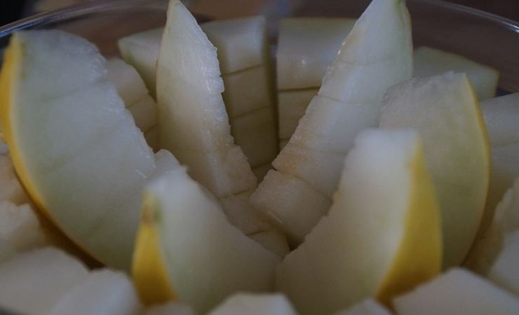conservare melone