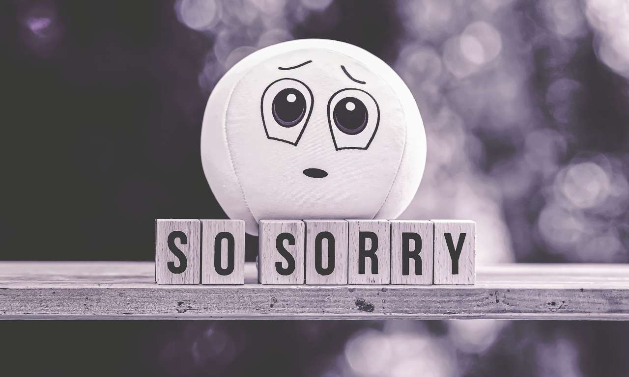 imparare chiedere scusa