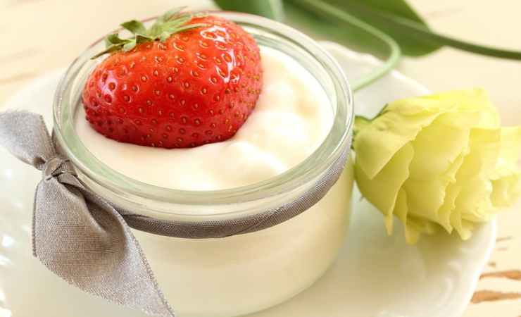 yogurt fatto in casa