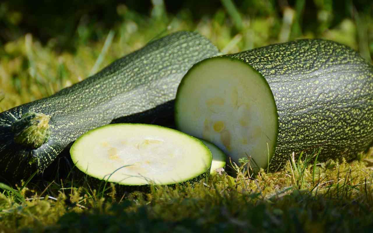 zucchine