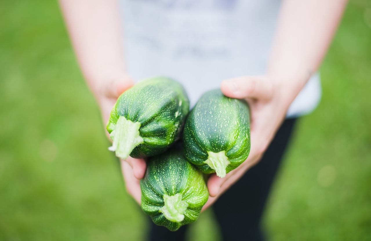 conservare le zucchine