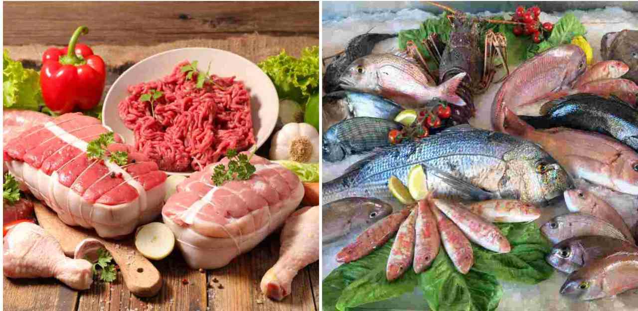mangiare carne pesce