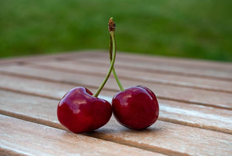 cherry