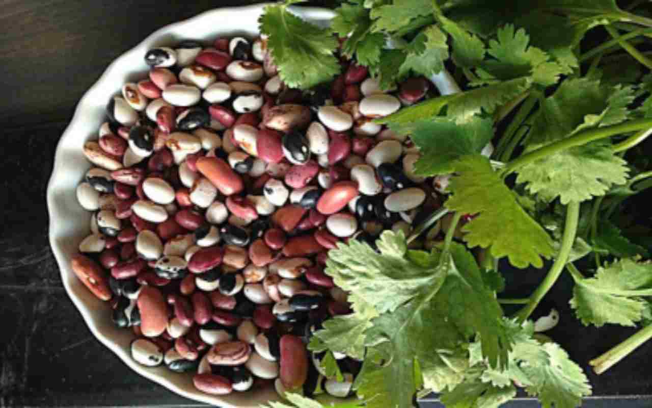 pasta e fagioli cremosi