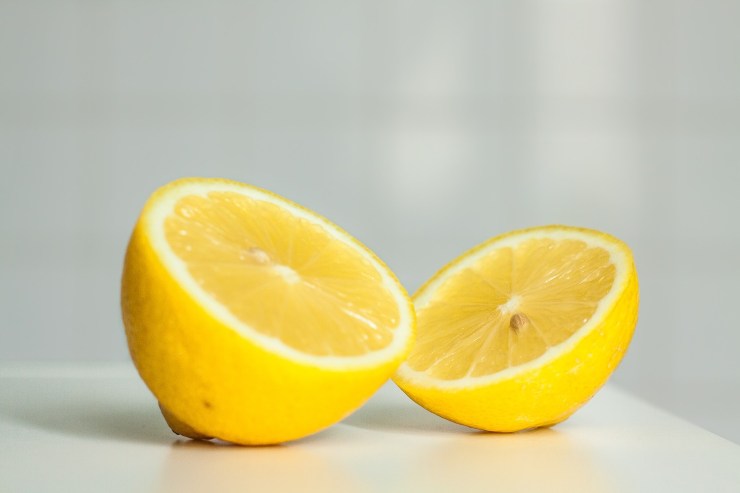 limone piatto 
