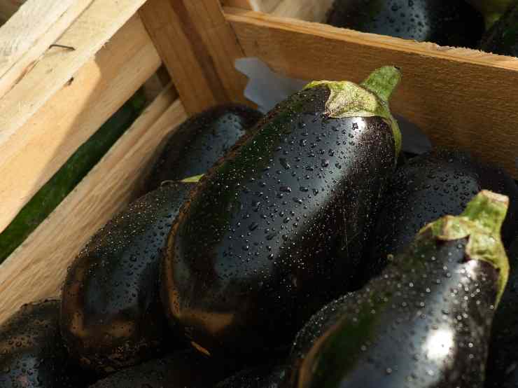 melanzane alla messinese 