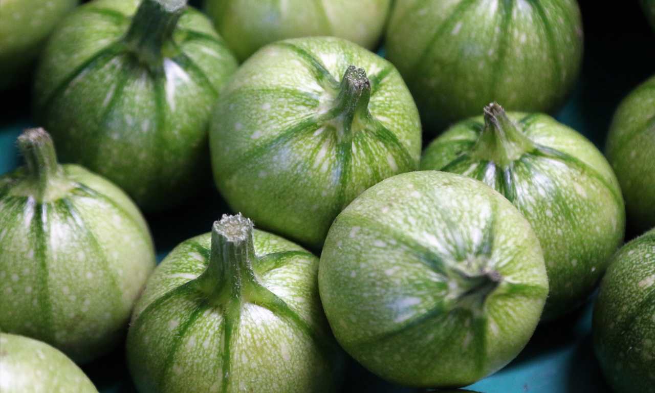 bombette di zucchine