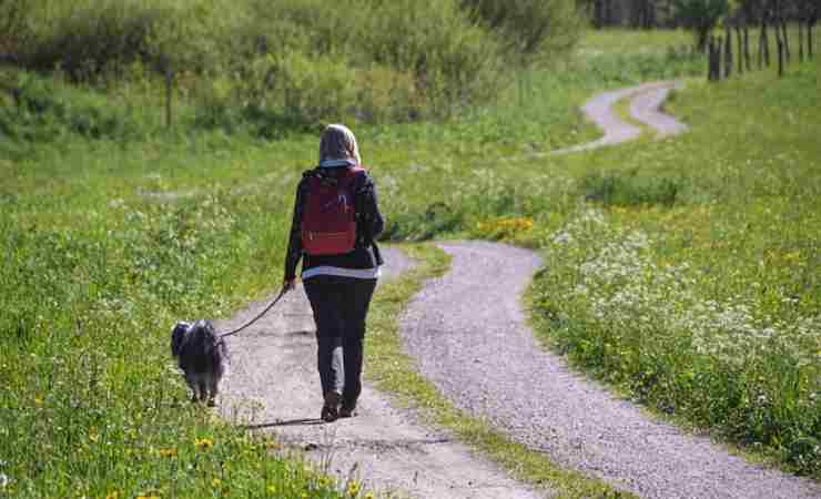 trekking