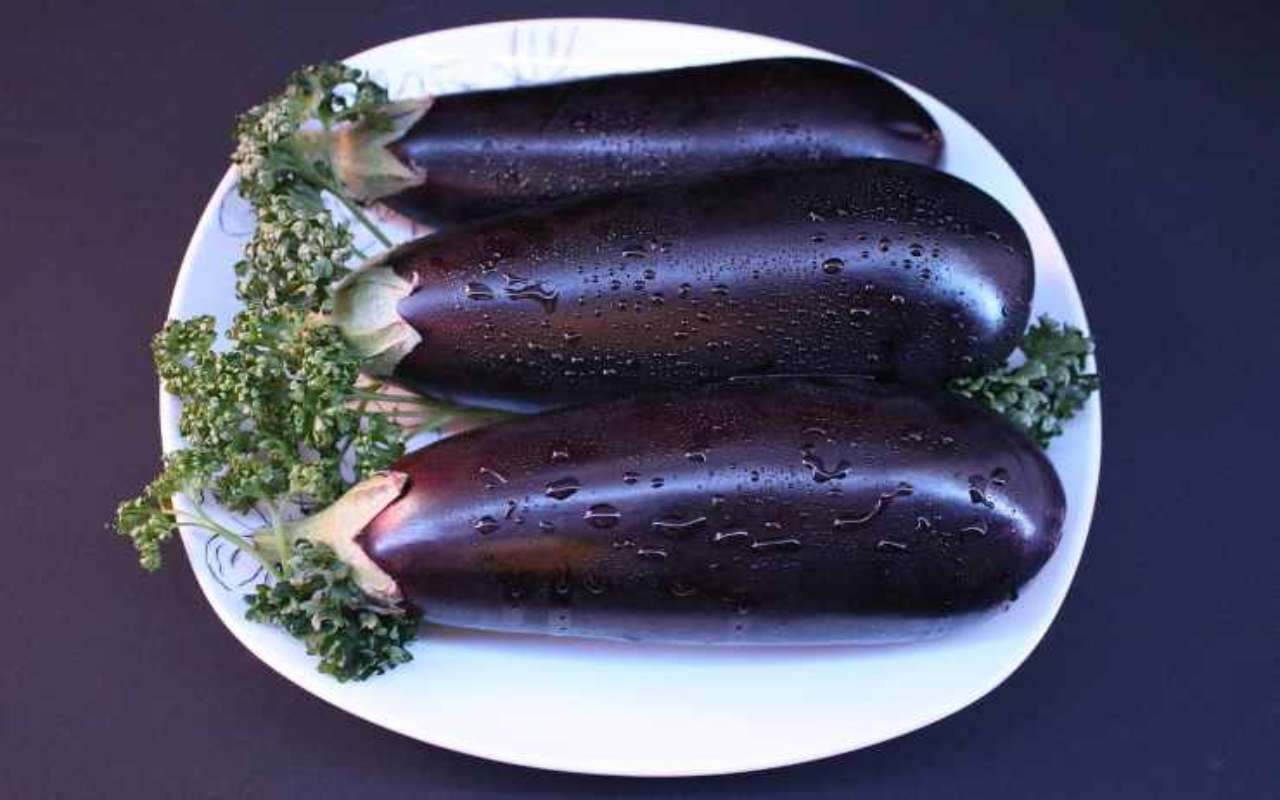 parmigiana