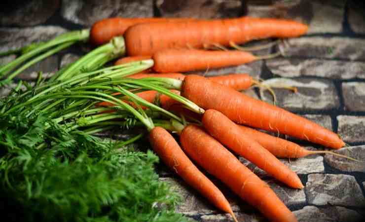 conservare carote